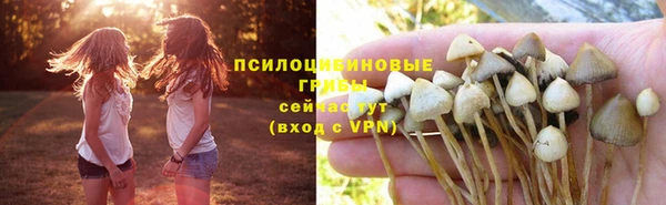 дурь Алзамай