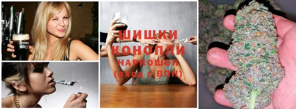 дурь Алзамай