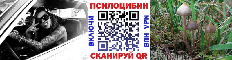 Галлюциногенные грибы Psilocybe  Инсар 